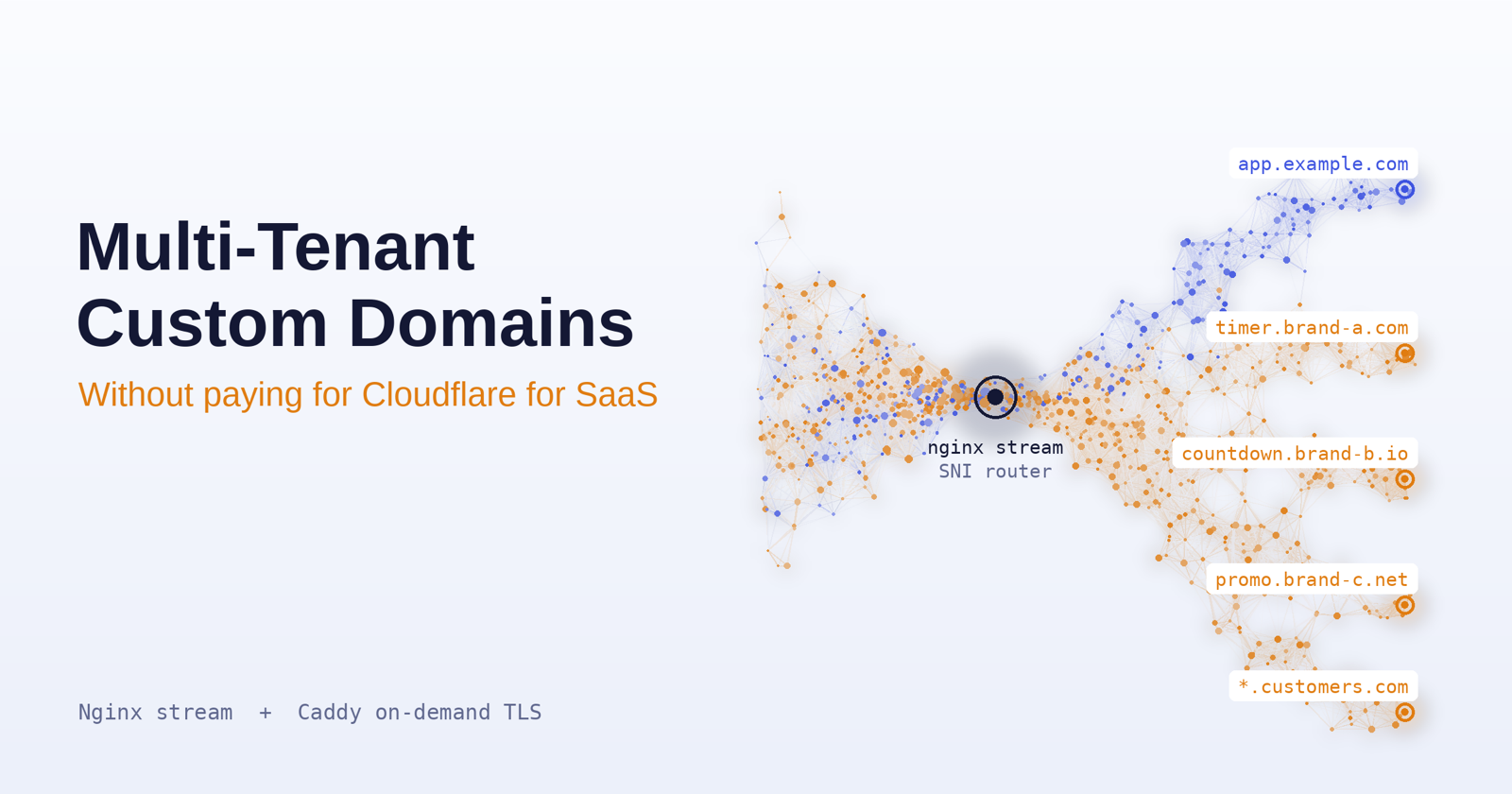 Multi-Tenant Custom Domains